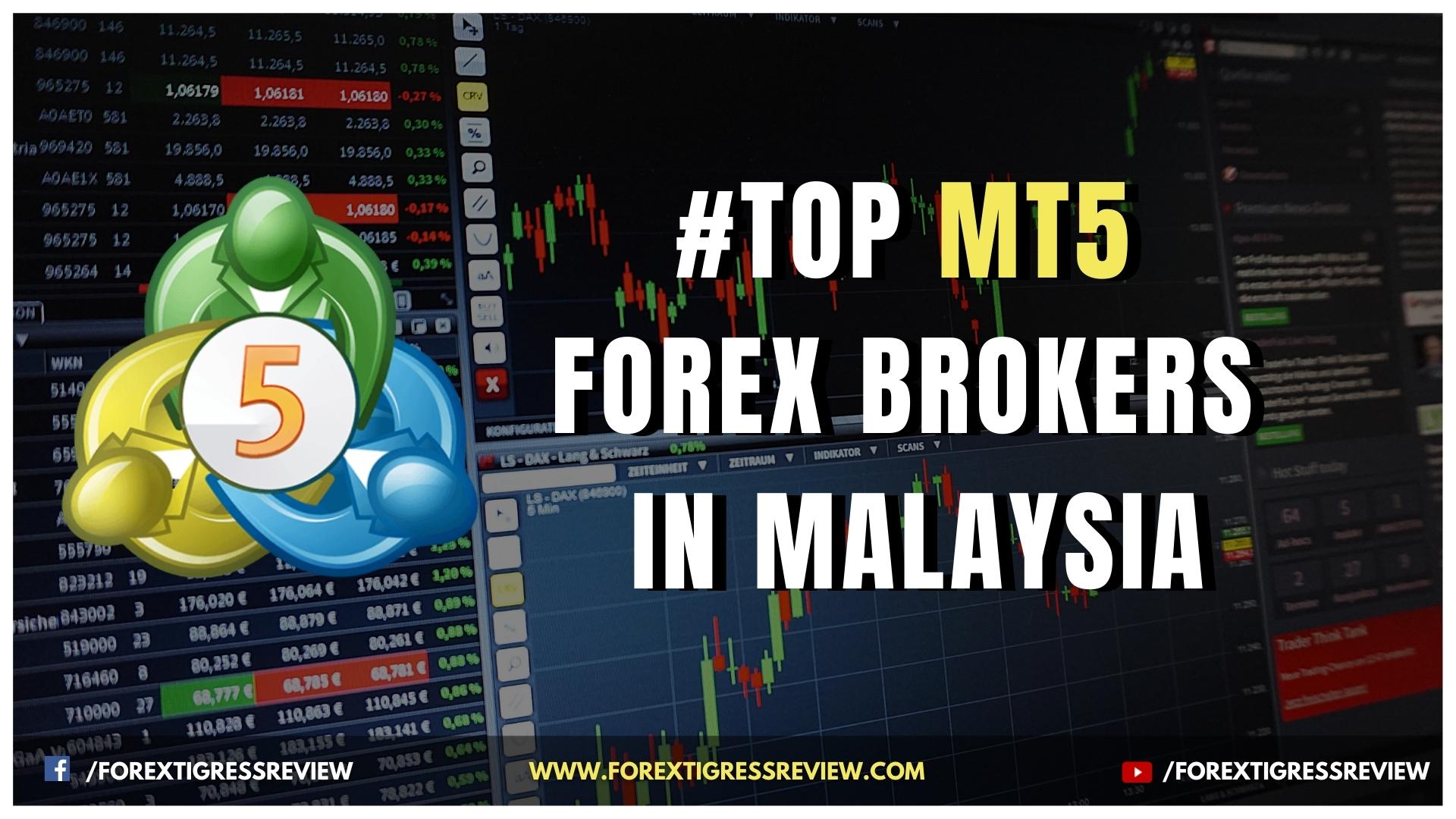 Top MT5 Forex Brokers In Malaysia 2022 Reviews  Forextigressreview