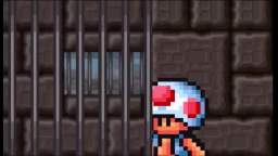 VidLii gets arrested with KamTape