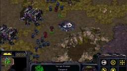 lets play starcraft #1 - things and stuff