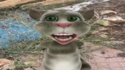 Wow I Cannot Believe Talking Tom Is Real And In My Back Yard