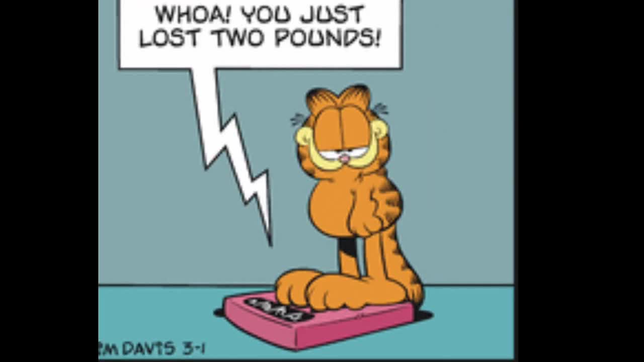 2025_03_01 Garfield Comic Dub
