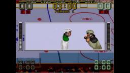 Mario Lemiuex Hockey - Fight - Sega Genesis Gameplay