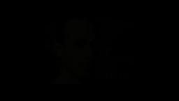 valve.avi