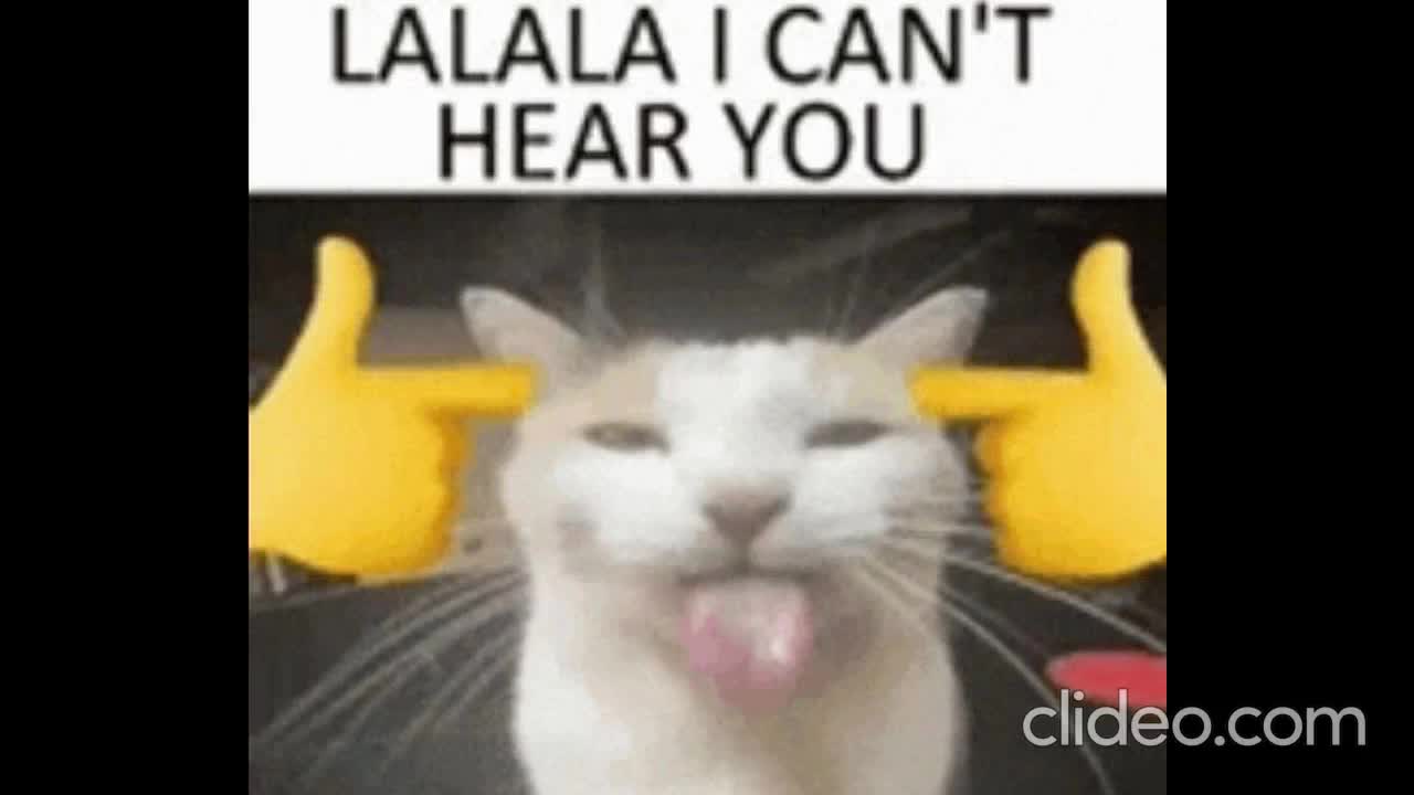 goober cats