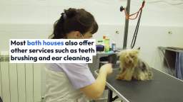 Bath House Pet Grooming Frequently Asked Questions