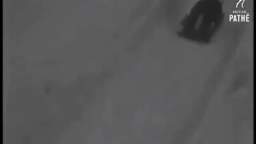 Alessandro Muto and Wilson Anderson's Bobsleigh crash