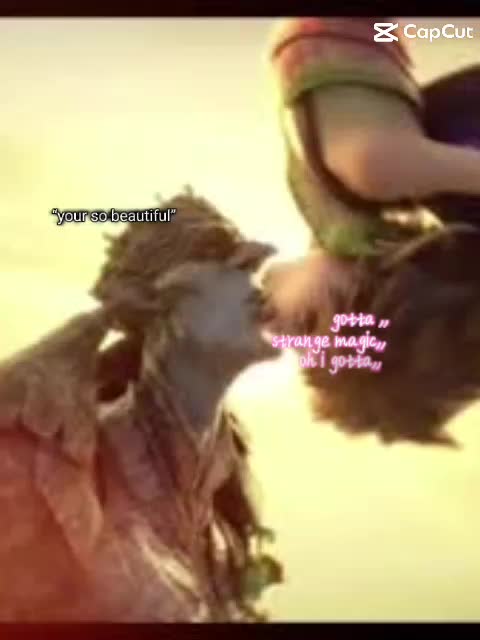 Bok King x Marianne Video