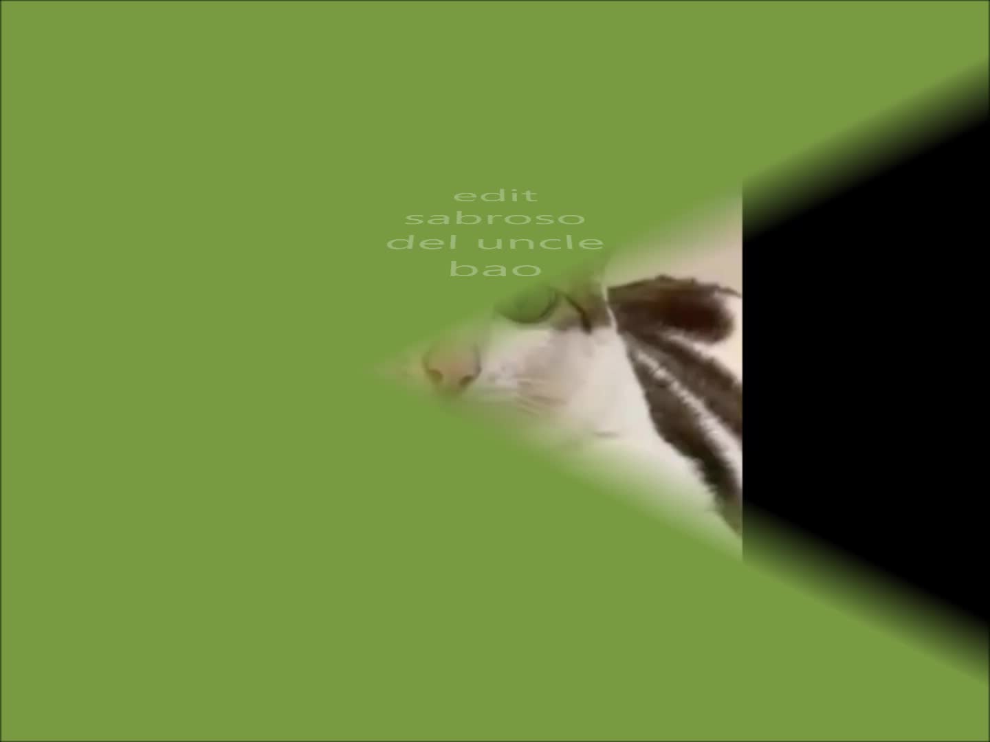 edit uncle bao