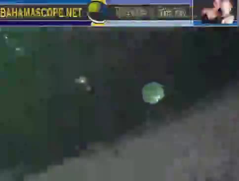 Why are you in my mind