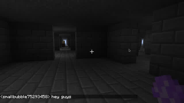 i explore weird places in minecraft