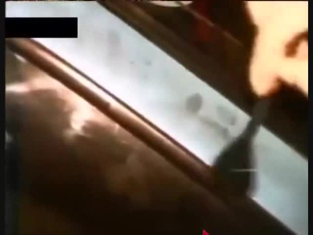 Man gives transgender car makeup in a gore movie