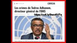 Les crimes de Tedros Adhanom, directeur général de lOMS