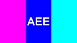 TPAEE "Inverted Mali Flag" logo