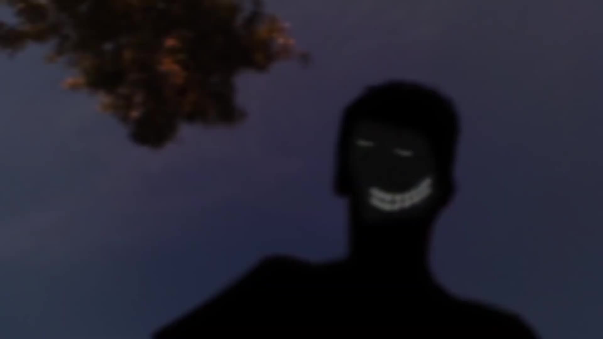 Bridezillas Signal Hijacking⧸Glitch (2010)