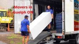 Ecoway Movers in Guelph, ON