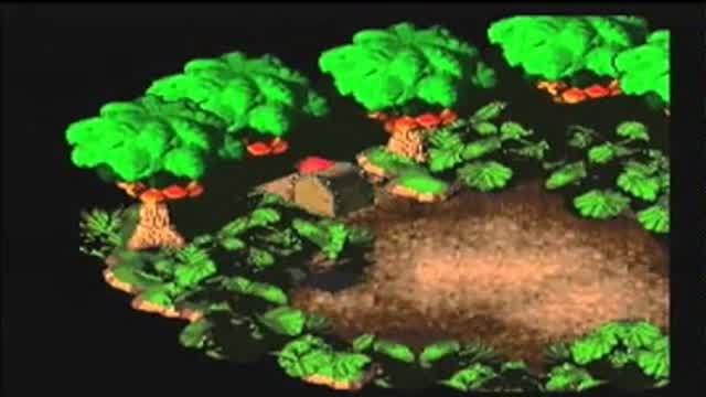 Forest Maze
