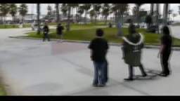 Skateboarding Dog (2007)