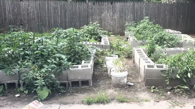 July Garden Tour