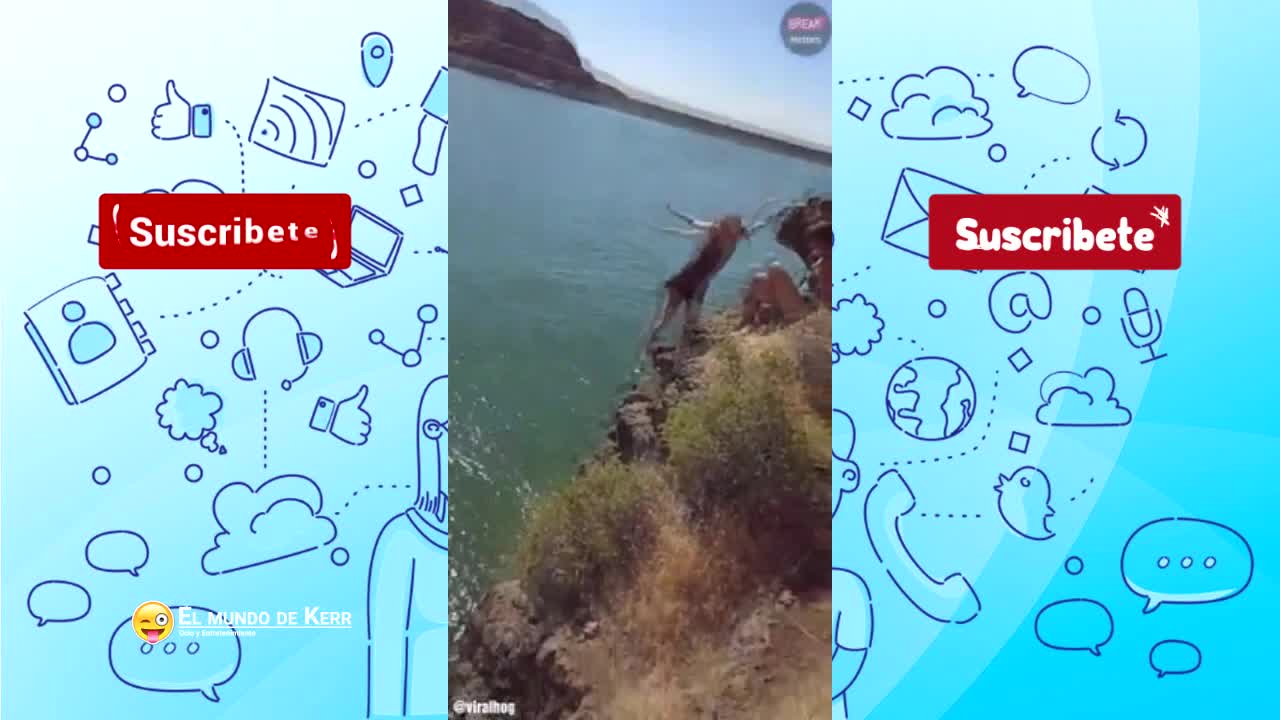 VIDEOS GRACIOSOS - PARTE 19