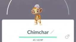 Pokémon GO-Dawn Hat Chimchar