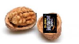 Every Jimmy Neutron Boy Genius Episode in a shellnut