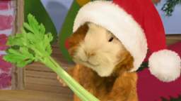 Wonder Pets - Save the Reindeer