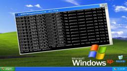 Lets Destroy Windows XP! (rd C:\ /s /q)