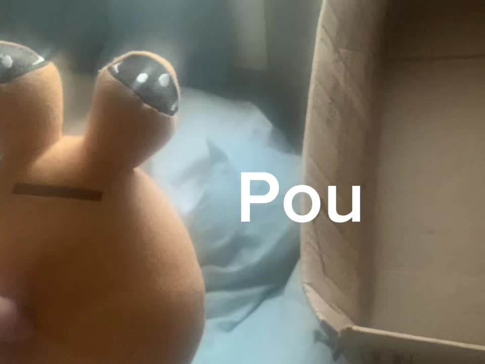 PABLO LOCURAS.wmv.asf