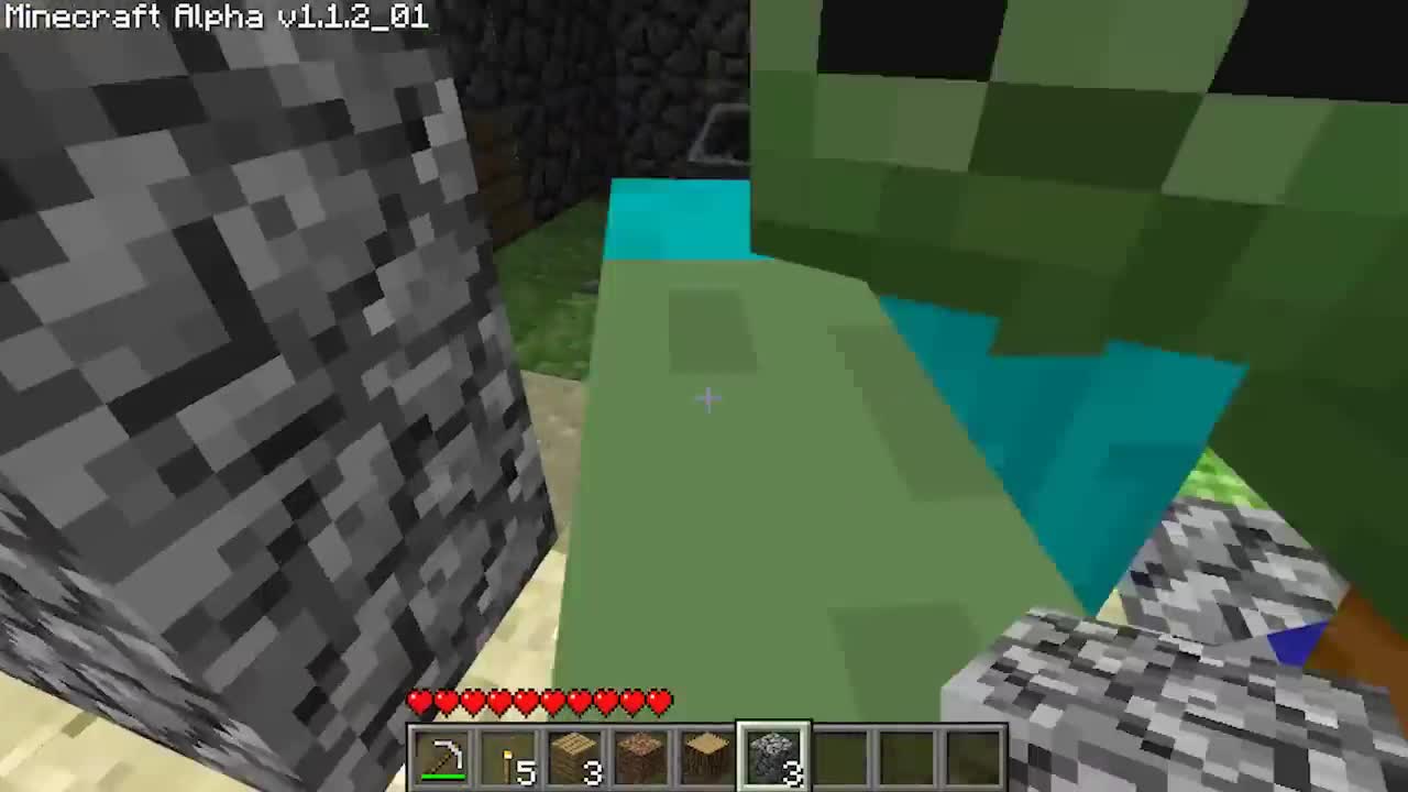 Minecraft Multiplayer Fun