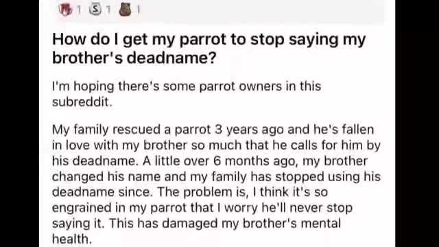 based parrot