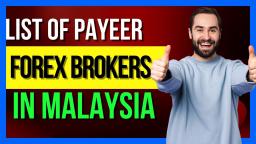 List Of Payeer Forex Brokers In Malaysia 💸 Malaysia Forex Trading 💸