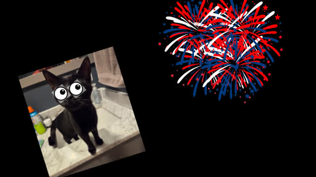showing my cat the FIREWORK SUN