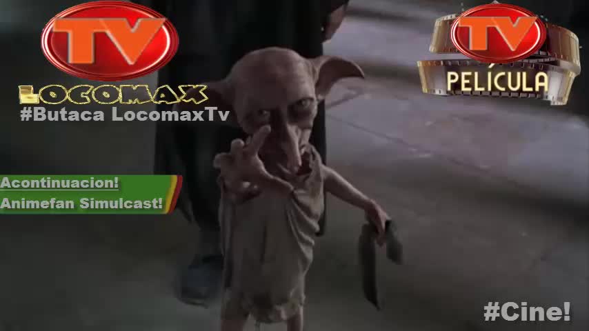 LocomaxTv Bolivia Anime Febrero 2025