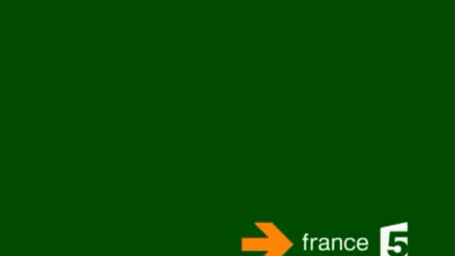 [Spécial 19e anniversaire] France 5 - Publicité, bande-annonce, Midi les Zouszous (Août 11, 2007)