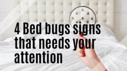 4 Bed bugs signs that needs your attention