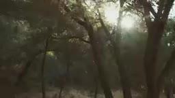 Calvin Harris - My Way (Official Video)