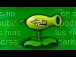 lokonet.yooco.org