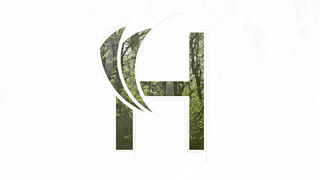 Harald Revery - Forest Rain