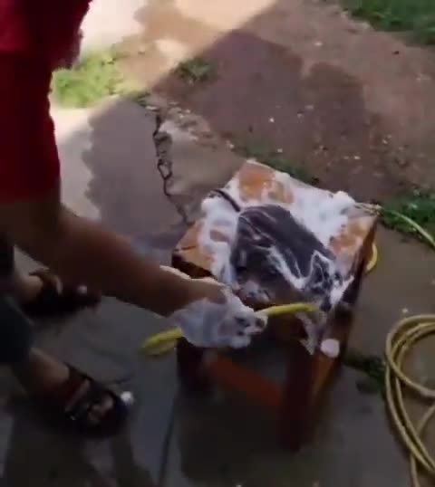 some dude washing the rat thing