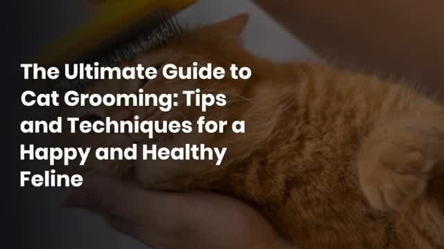 The Ultimate Guide to Cat Grooming: Tips and Techniques for a Happy and Healthy Feline