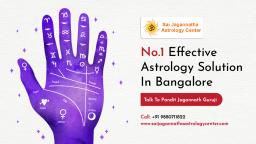 Best Birth Chart Reading Astrologer in Bangalore - Saijagannathaastrologycenter.com (1)