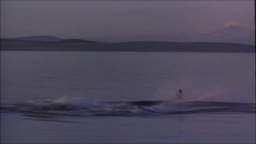 Opening to Free Willy 1993 VHS