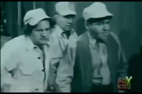 Los Tres Chiflados - Sesos de Pájaros (Audio Latino) Los Tres Chiflados - Sesos de Pájaros (Audio Latino)