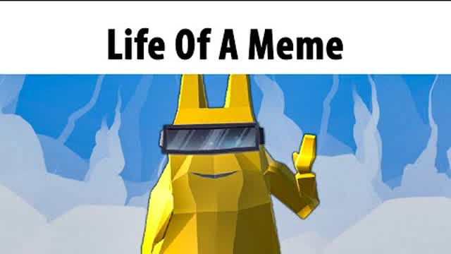 Life of a Meme