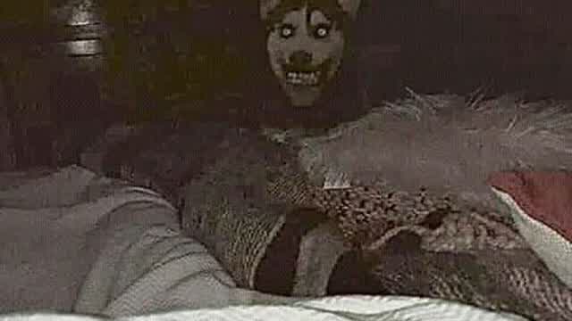VID-20260607-WA0000