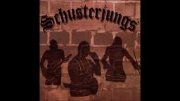 Schusterjungs - Hass Society