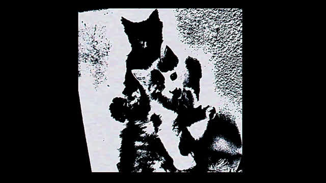 Ikimasu - intro idk (Akuma悪)