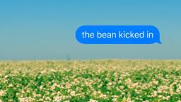 Zack Fox - The Bean Kicked In