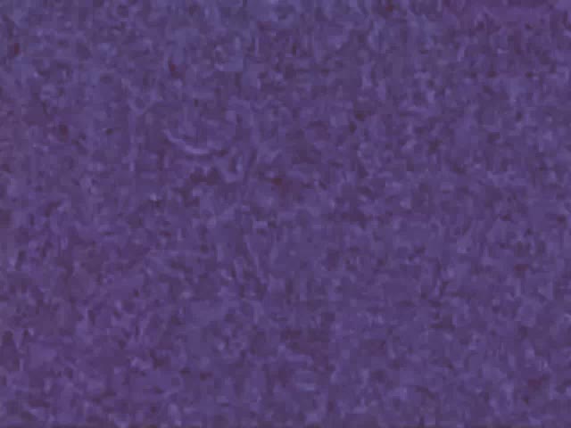 Klasky Csupo in Orange Effect