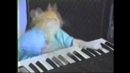 keyboard cat